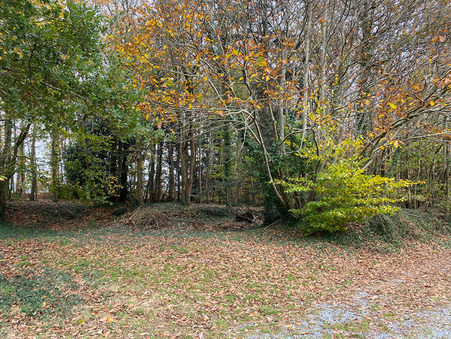 Maison sur Ernee ; prix nous consulter ; Vente Réf. M710492