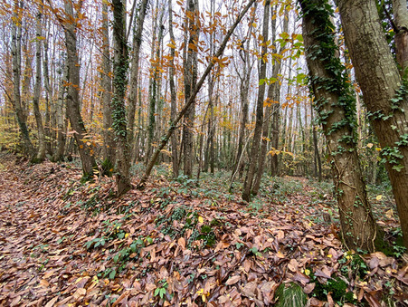 A vendre maison Ernee 53500; prix nous consulter