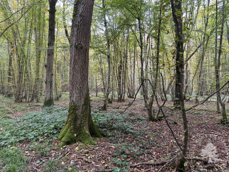 A vendre terrain Bourges 18000; 107 000 €