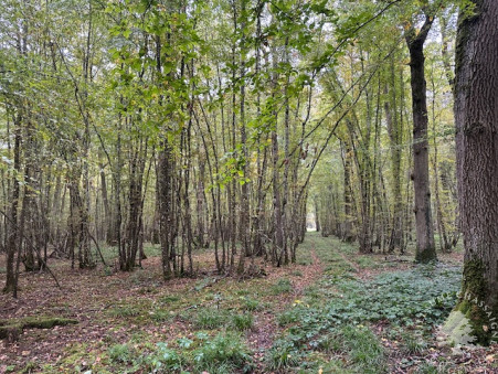 Vente terrain 107 000 € Bourges