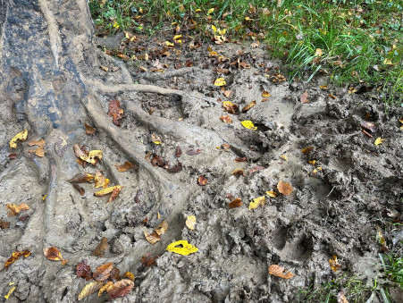 A vendre terrain Bourges 18000; 107 000 €