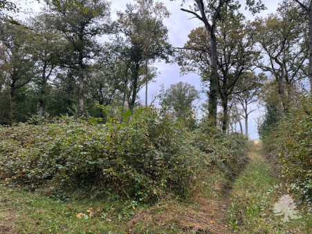 A vendre terrain Bourges 18000; 107 000 €