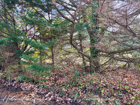 Vente appartement 278 000 € Gujan-Mestras