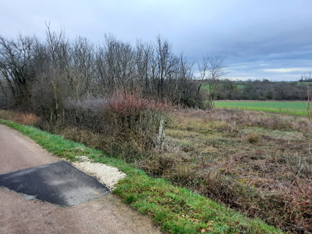 Saint sauveur en puisaye 10 000 €