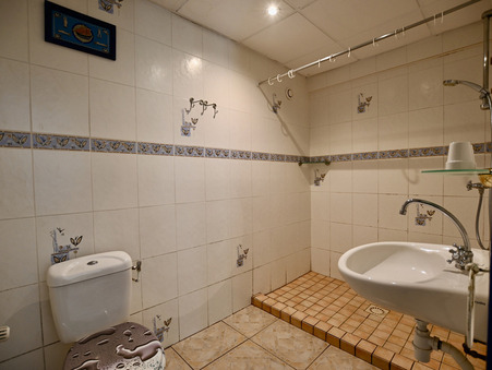 Local commercial 530 000 € Réf. 33_FLIP2024076 Dun-les-Places