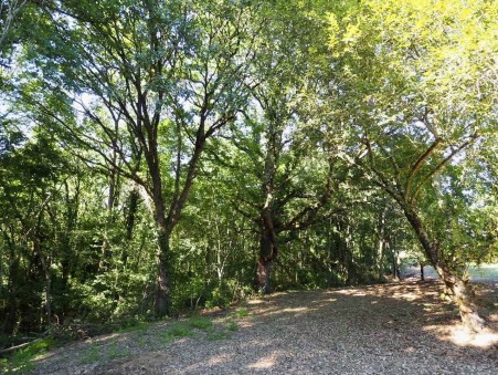 Maison 465 000 € Réf. 4399-nk-bis Boulogne sur Gesse