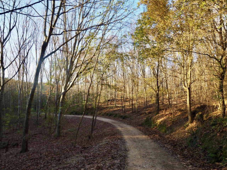 Achat propriété Saint-Gaudens Réf. 4473-nk