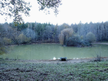 Propriété 805 000 € Réf. 4473-nk Saint-Gaudens