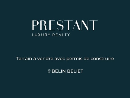 BELIN BELIET  367 500 €