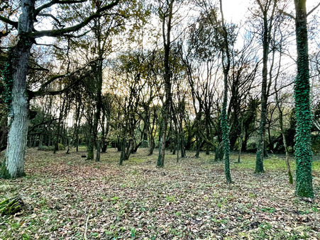 Terrain 71 000 &euro; sur Boisgervilly (35360) - Réf. 11729