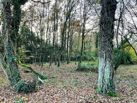 Achat terrain Boisgervilly Réf. 11729