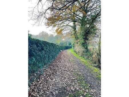 A vendre terrain Boisgervilly 35360; 71 000 &euro;