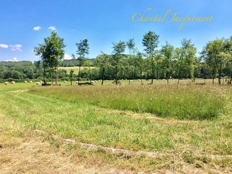 Saint-Jean-de-Côle 33 000 €