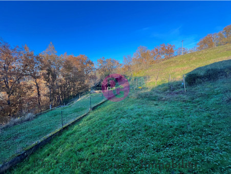 Vente maison 259 000 €  Nauviale