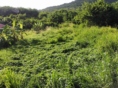 Terrain 108 000 €  Réf. CAR124 Le Vauclin