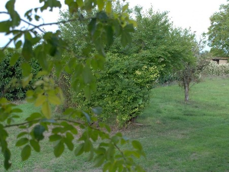 Saint-Martin-la-Pallu 32 500 €