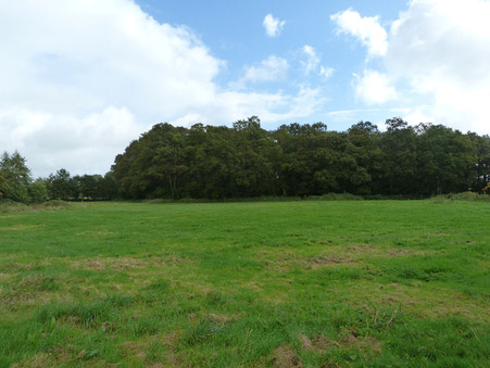 A vendre maison Ballots 53350; prix nous consulter