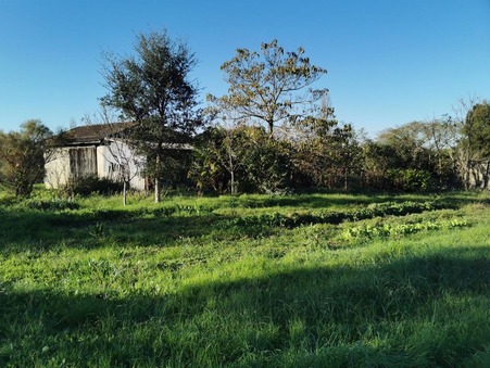 SAINT SAUVEUR DE MEILHAN 48 000 €