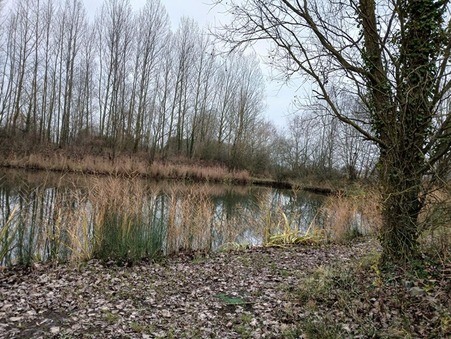 Lille  126 500 €