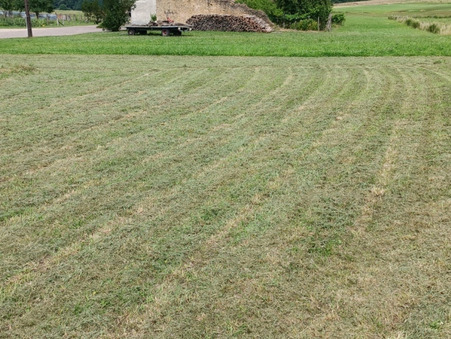 Visoncourt 11 000 €