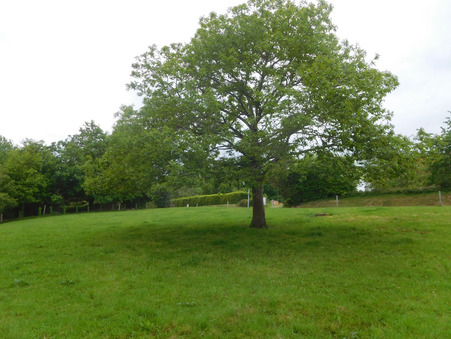 Achat terrain Saint-Yrieix-la-Perche Réf. 11543