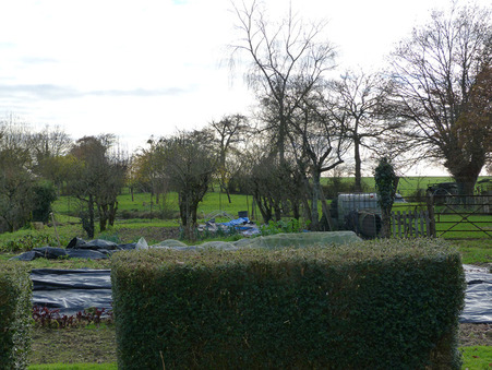 Achat maison Quelaines Saint Gault Réf. M810239