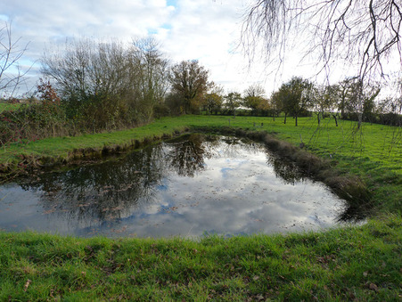 Maison prix nous consulter sur Quelaines Saint Gault (53360) - Réf. M810239