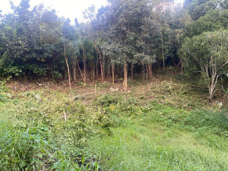 Vente terrain 140 000 €  Le Gosier