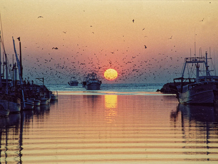 A vendre appartement Le Grau-du-Roi 30240; prix nous consulter