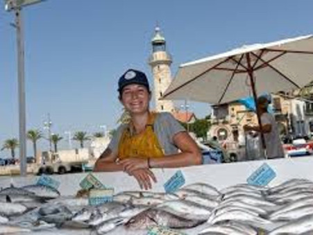 Appartement sur Le Grau-du-Roi ; prix nous consulter ; Vente Réf. 54_GDREST1IER