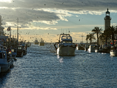 Achat appartement Le Grau-du-Roi Réf. 54_GDREST1IER