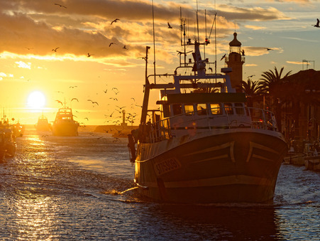 Appartement prix nous consulter sur Le Grau-du-Roi (30240) - Réf. 54_GDREST1IER