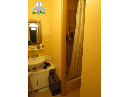 Immeuble 297 000 &euro;  sur Seurre (21250) - Réf. 7579