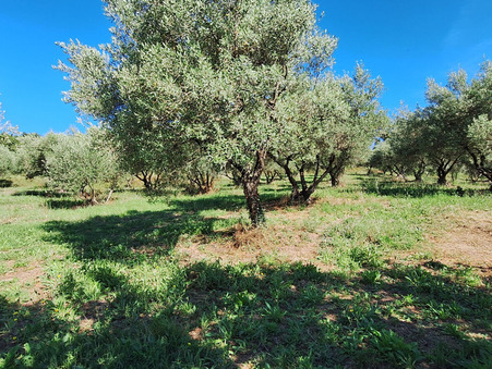 Vagnas 99 000 €