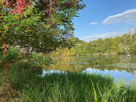 Saint hilaire saint mesmin  550 000 €