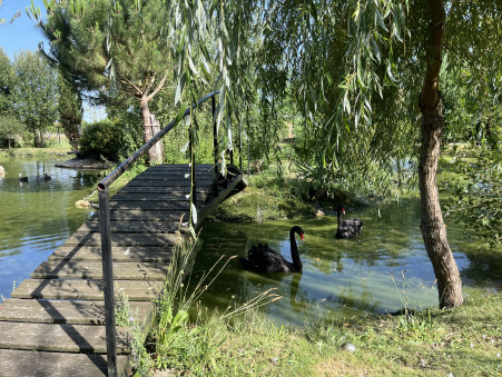 Propriété sur Vendays Montalivet ; 450 000 €  ; A vendre Réf. JHY486