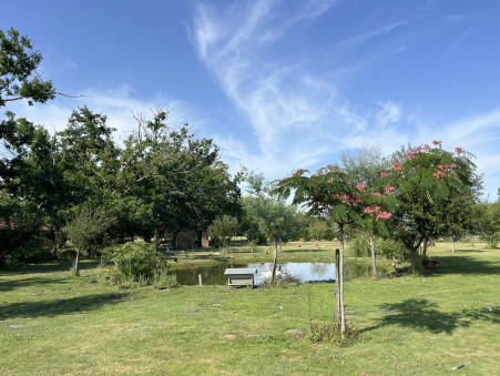 Propriété 450 000 €  Réf. JHY486 Vendays Montalivet