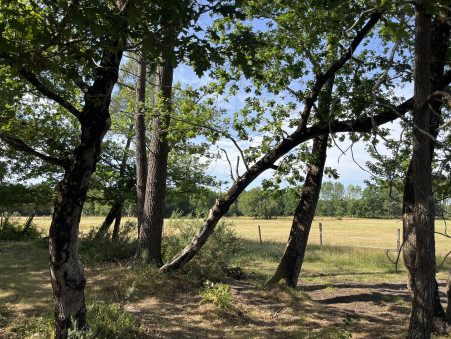 Achat propriété Vendays Montalivet Réf. JHY486