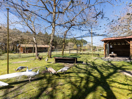 Propriété 450 000 €  Réf. JHY486 Vendays Montalivet