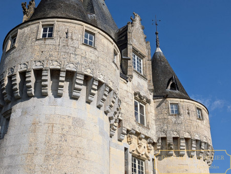 Vente chateau 3 180 000 € Chartres
