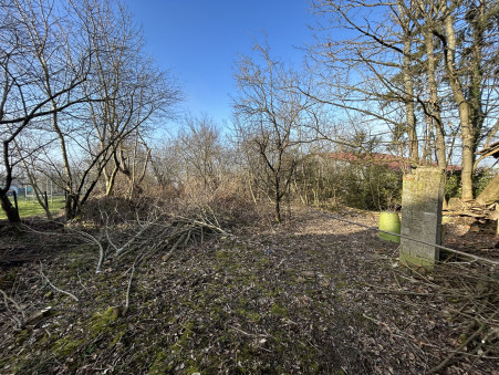 PFETTERHOUSE  169 000 €