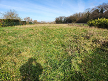 SAINT-JULIEN-L-ARS  139 000 €