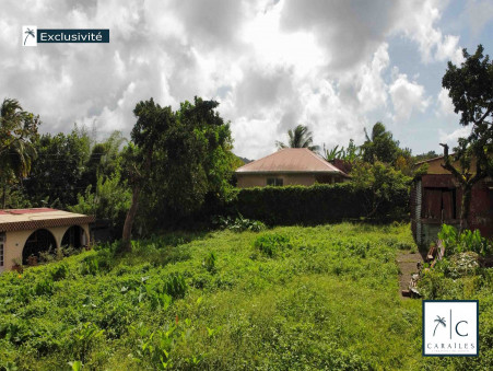Vente terrain 52 000 €  Le Morne Rouge