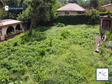 A vendre terrain Le Morne Rouge 97260; 52 000 € 