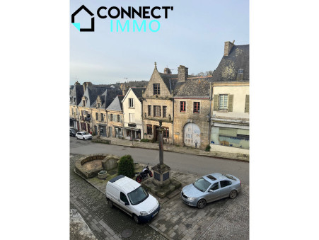 Vente Maison GUEMENE SUR SCORFF Réf. 1772 - Slide 19