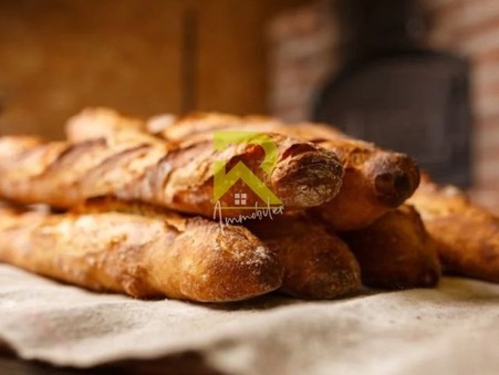 Local commercial 345 000 € sur Agde (34300) - Réf. 345515466-8163