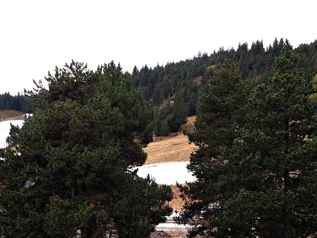 Appartement sur Bolquère ; 107 000 €  ; Vente Réf. 855