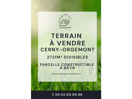 Cerny  335 000 €
