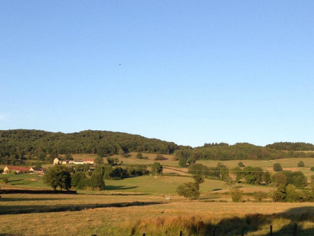 Achat maison Luzy Réf. BP2975