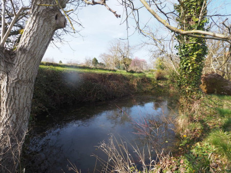 A vendre maison Masseube 32140; 80 000 €